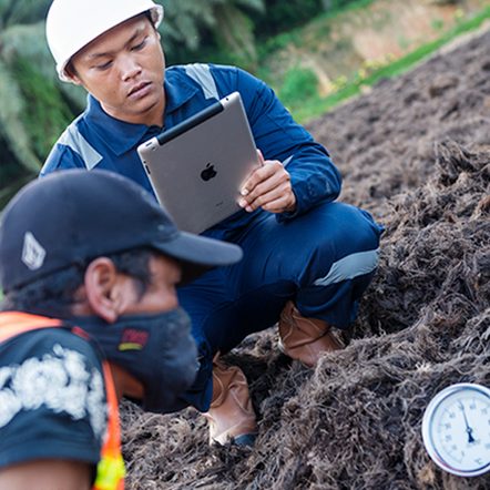 BARformula field engineers inspecting Matrix on the plantation floor